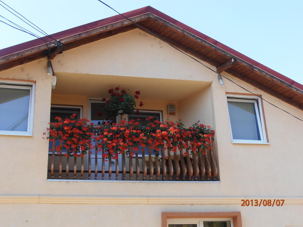 Casa Doma'R - Alina Hotel Sibiu Luaran gambar